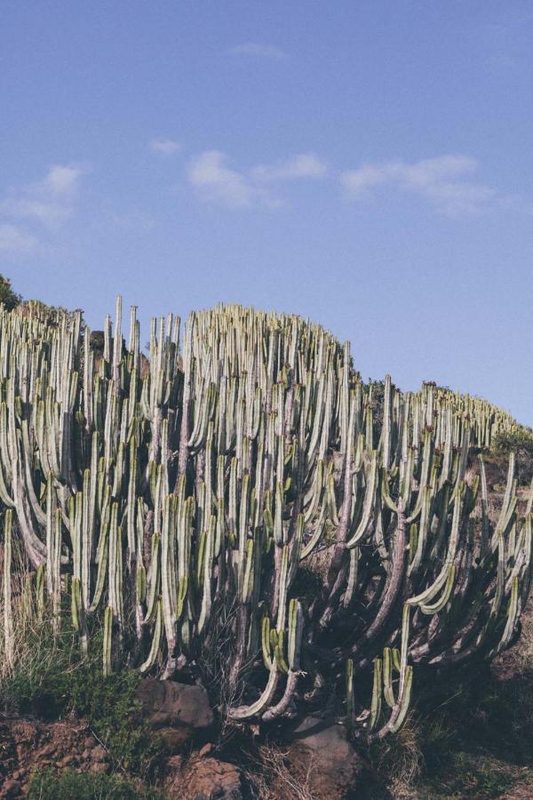 Canary Casita Next To The Atlantic Ocean Radazul ภายนอก รูปภาพ