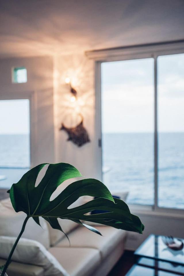 Canary Casita Next To The Atlantic Ocean Radazul ห้อง รูปภาพ